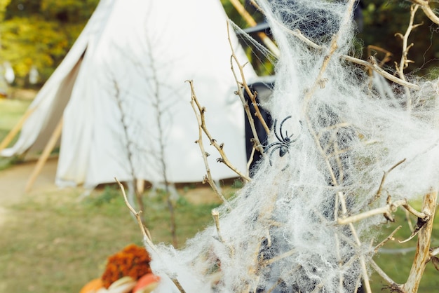 Spinneweb met spin op droge takken Halloween-ideeën voor tuindecoratie