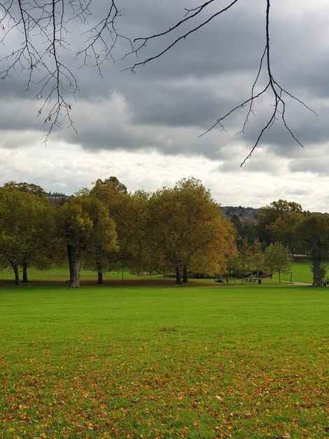 Photo spinney hill park