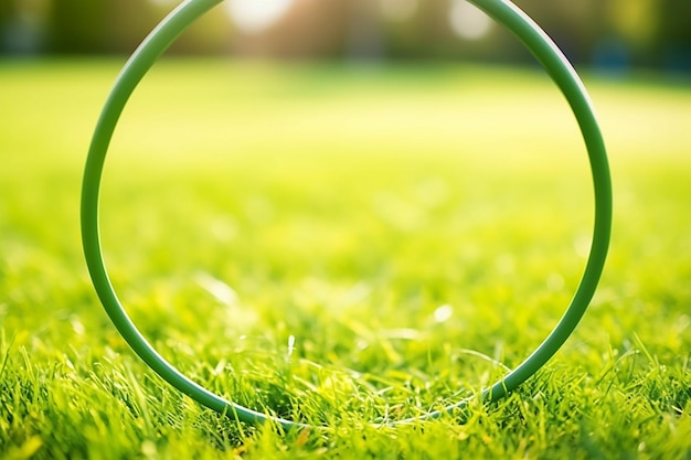 Spinning hula hoop on grass