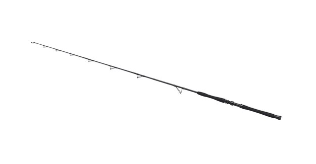 Spinning rod for fishing isolated