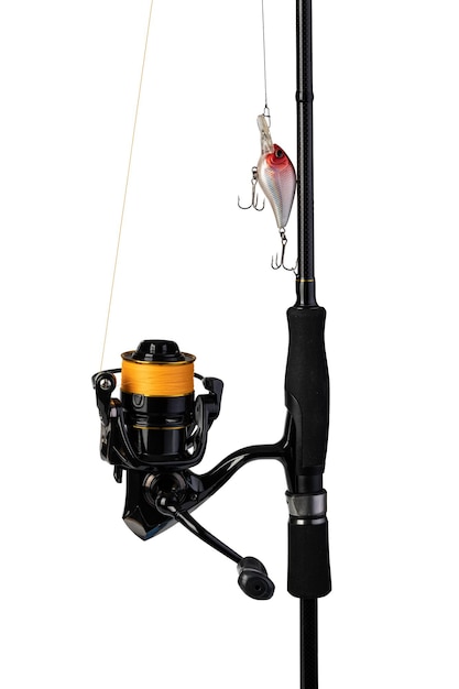 Spinning rod reel and fishing baits