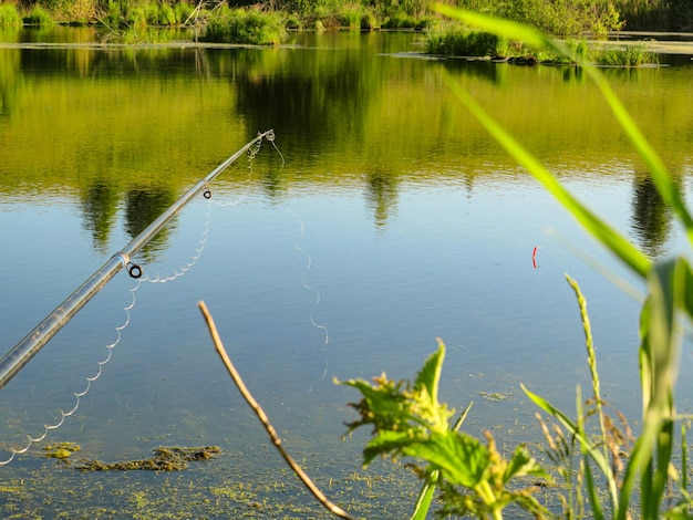 Spinning with reel and evening summer lake