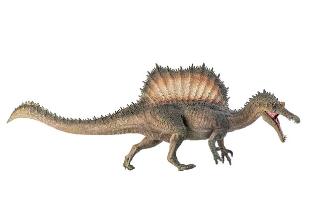 Foto dinosauro spinosaurus su sfondo bianco