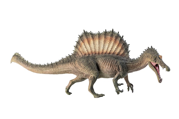 Spinosaurus dinosaurus op witte achtergrond