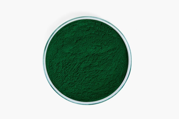 Spirulina poeder in een petrischaaltje Op een witte achtergrond Spirulina superfood bioadditive Green Eco