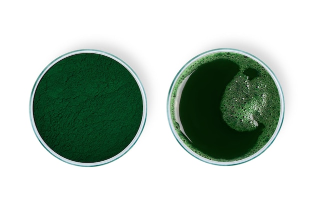 Spirulina poeder Spirulina verdund in water Spirulina oplossing in een petrischaaltje Spirulina superfood bioadditief Green Eco