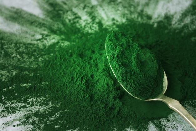 spirulina powder and tablets in white plates on concrete background