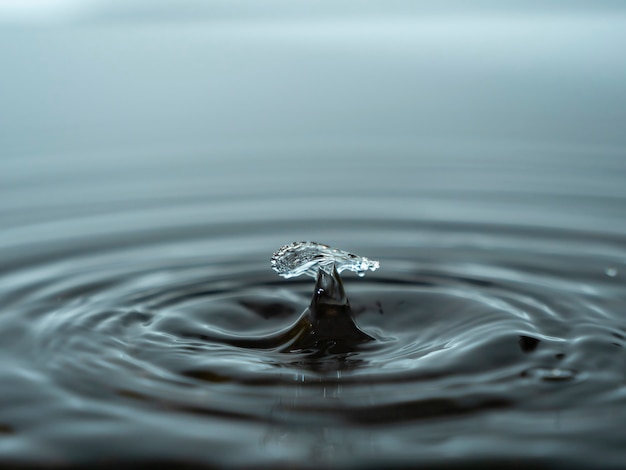 Splashing a drop of water into the aquarium. Colorful water drop