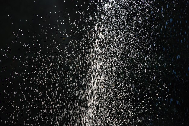 Splashing water on a black background