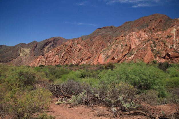 The splendid colors of the quebrada de las conchas argentina south