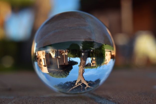 Splendid photos through lensball, the world seen from another perspective