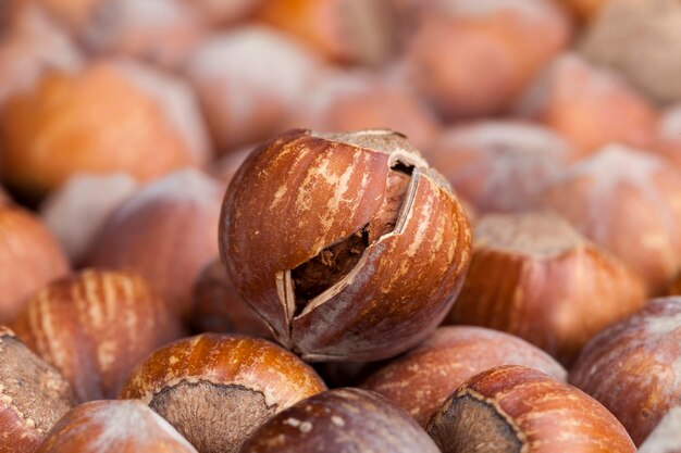 Split hazelnuts on the table