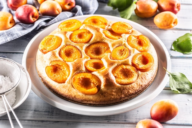 Бисквитный абрикосовый пирог на кухонном столе с сахарной пудрой