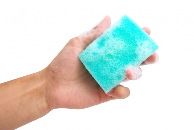 Photo sponge in hand