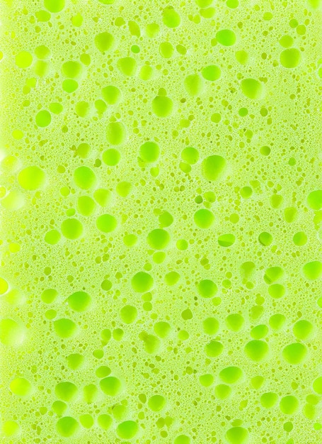 Sponge texture background