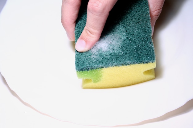 sponge for washing dishes