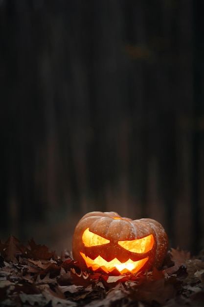 Spookachtige gloeiende Jack o lantern op herfstbladeren in humeurig donker bos Vrolijke Halloween Enge sfeervolle halloween gesneden pompoen in de herfstbos van de avond Boo Horror tijd Kopieer ruimte