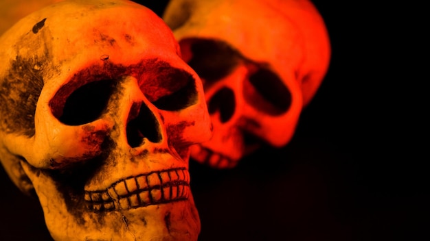 Spooky delights highquality halloween images collection