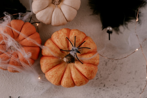 Spooky Halloween decoration with different pumpkins, light, spiders. 