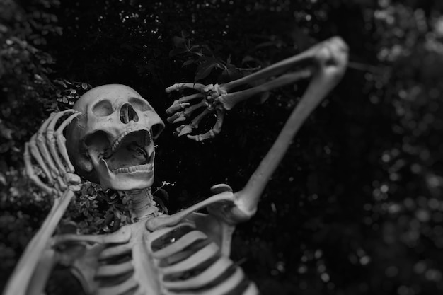 不気味なハロウィーンの夜