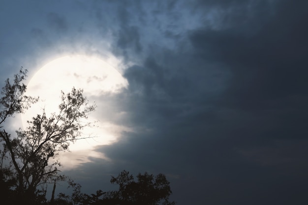 Spooky night scene with moon and dark clouds