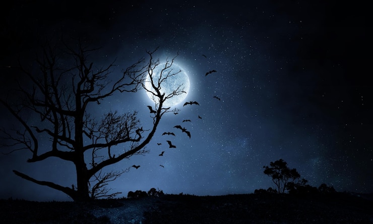 Photo spooky and scary night image. mixed media