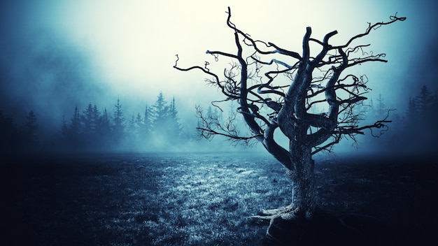 Photo spooky tree night background.