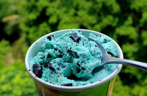 Photo spoon scooping mint chocolate chip ice cream with blurry green bush in background