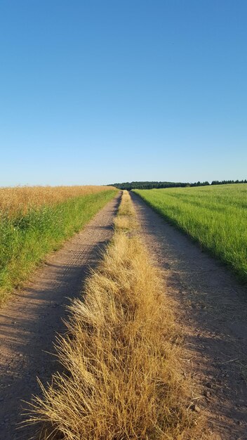 Foto spoor op landelijk terrein