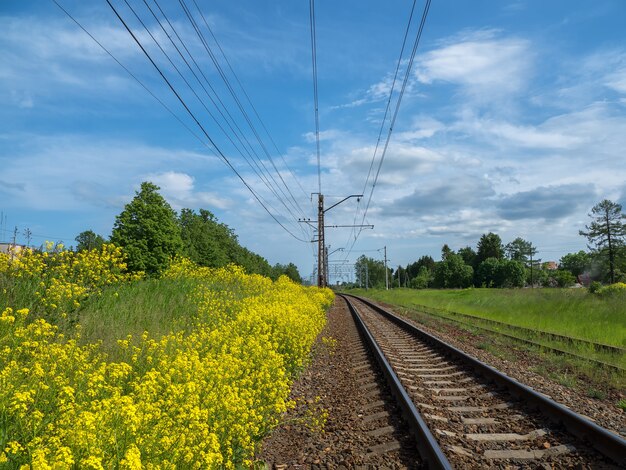 Spoorlijnen onder gele velden