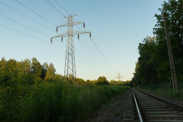 Foto spoorweg midden in bomen tegen een heldere hemel