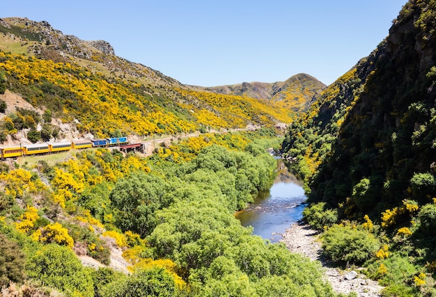 Spoorweg naar Taieri Gorge Nieuw-Zeeland