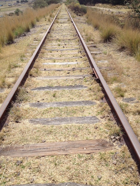 Foto spoorweg op een grasveld