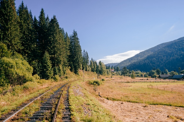 Spoorweg tussen bergen in de zomer