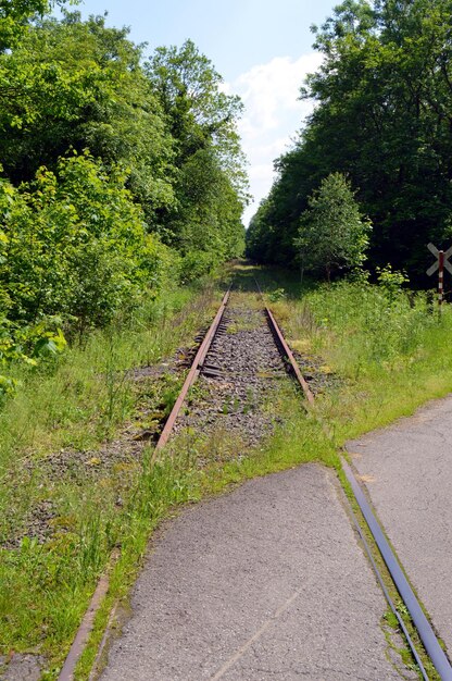 Foto spoorweg tussen bomen tegen de lucht