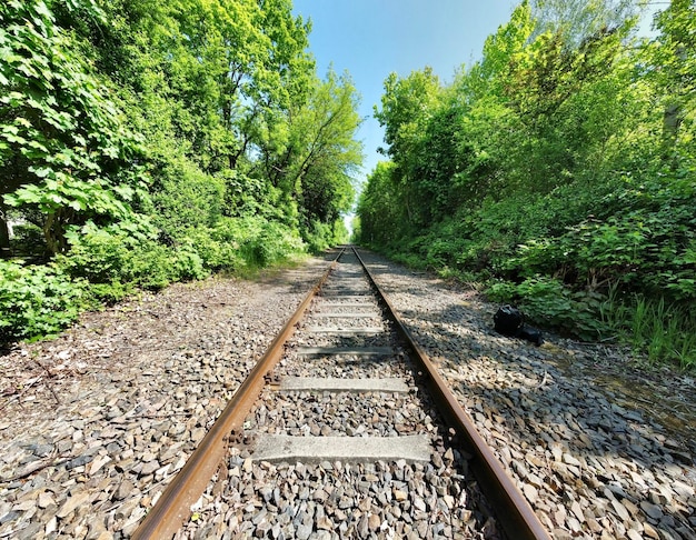 Foto spoorweg tussen de bomen.