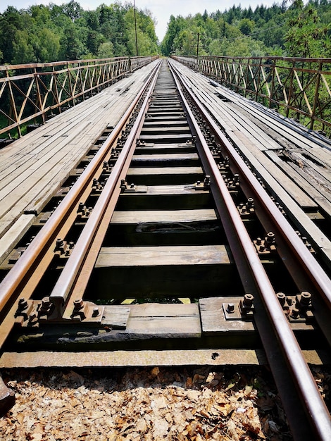 Foto spoorwegbrug tussen de bomen.