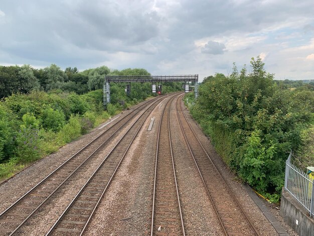 Foto spoorwegen door bomen tegen de lucht