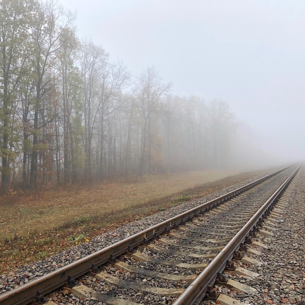 Spoorwegen in de mist met links de woordspoorweg.