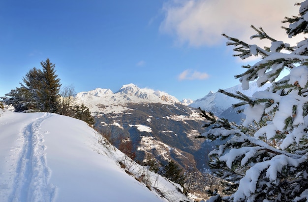 Sporen in verse sneeuw op een voetpad op de top van alpine berg en tak van besneeuwde spar