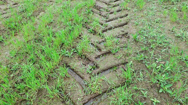 Sporen van tractorbanden in de modder