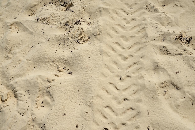 Sporen van wielen in het zand als achtergrond