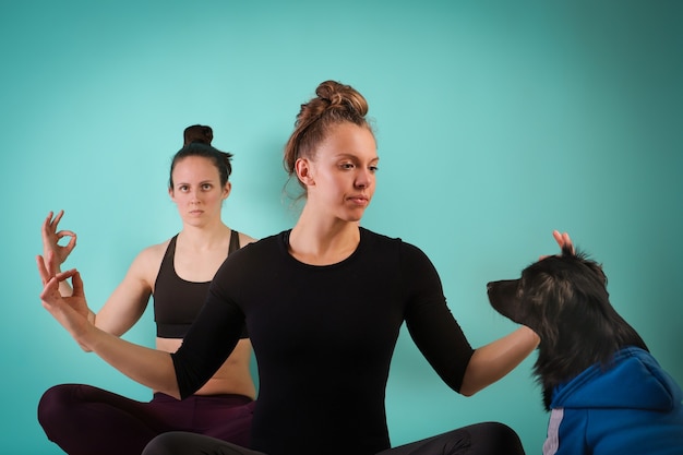 Sporten met een hond. Twee atletische meisjes trainen, doen yoga op blauwe achtergrond met hond. Kracht en motivatie, sport en gezonde levensstijl, fit blijven. Vrouwelijke geschiktheid.