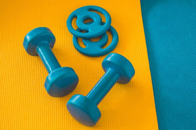 Sports blue dumbbells on a rug in the gym