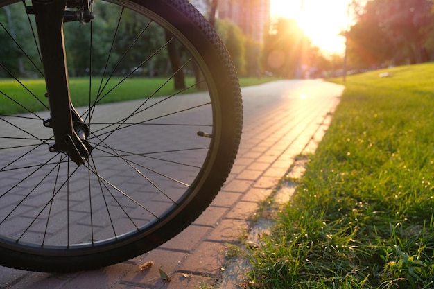 Sports concept Closeup of the front wheel of a bicycle in the park at sunset