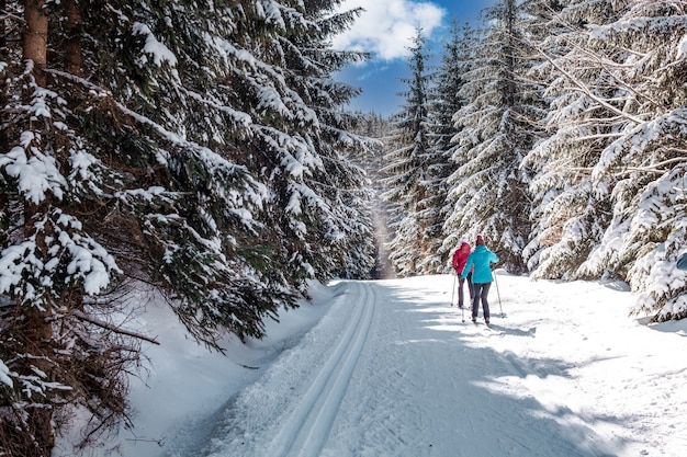 森の中の雪の足跡でのスポーツクロスカントリースキー