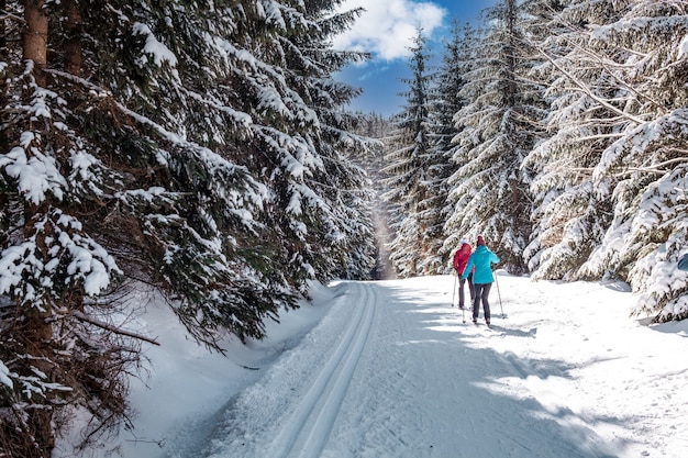 sports Cross-country skiing in the Snow Footprints in the woods