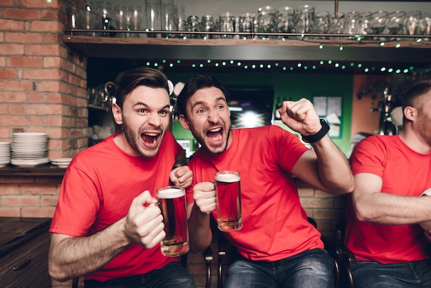 Sports fans celebrating goal for their team.