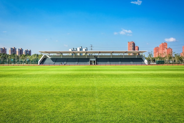 the sports playground in the park with artificial grass and a stretched net on a background of green trees