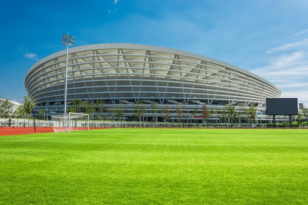 the sports playground in the park with artificial grass and a stretched net on a background of green trees